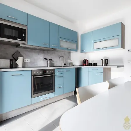 Apartment Pineapple Zwinger Iv - 65 Qm - 1x Free Parking